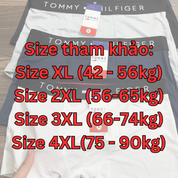 Set 4 quần lót TOMMY HILFIGER cạp thêu ( FAKE Cao cấp )