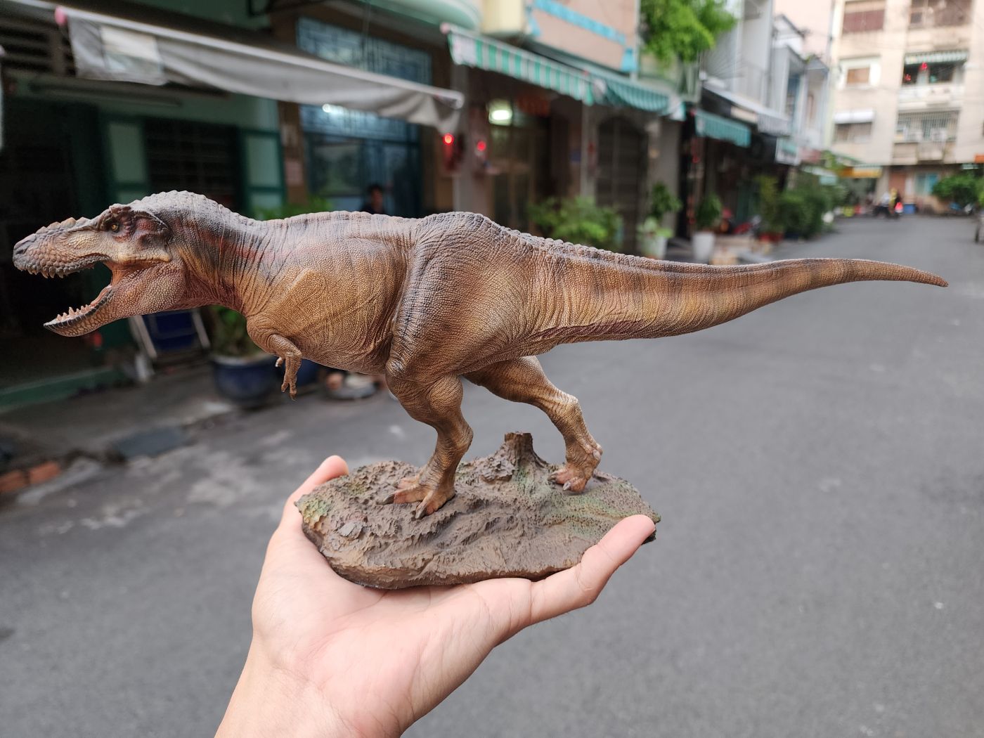 Mô hình khủng long T-Rex W-Dragon Tyrannosaurus Rex tỉ lệ 1/35