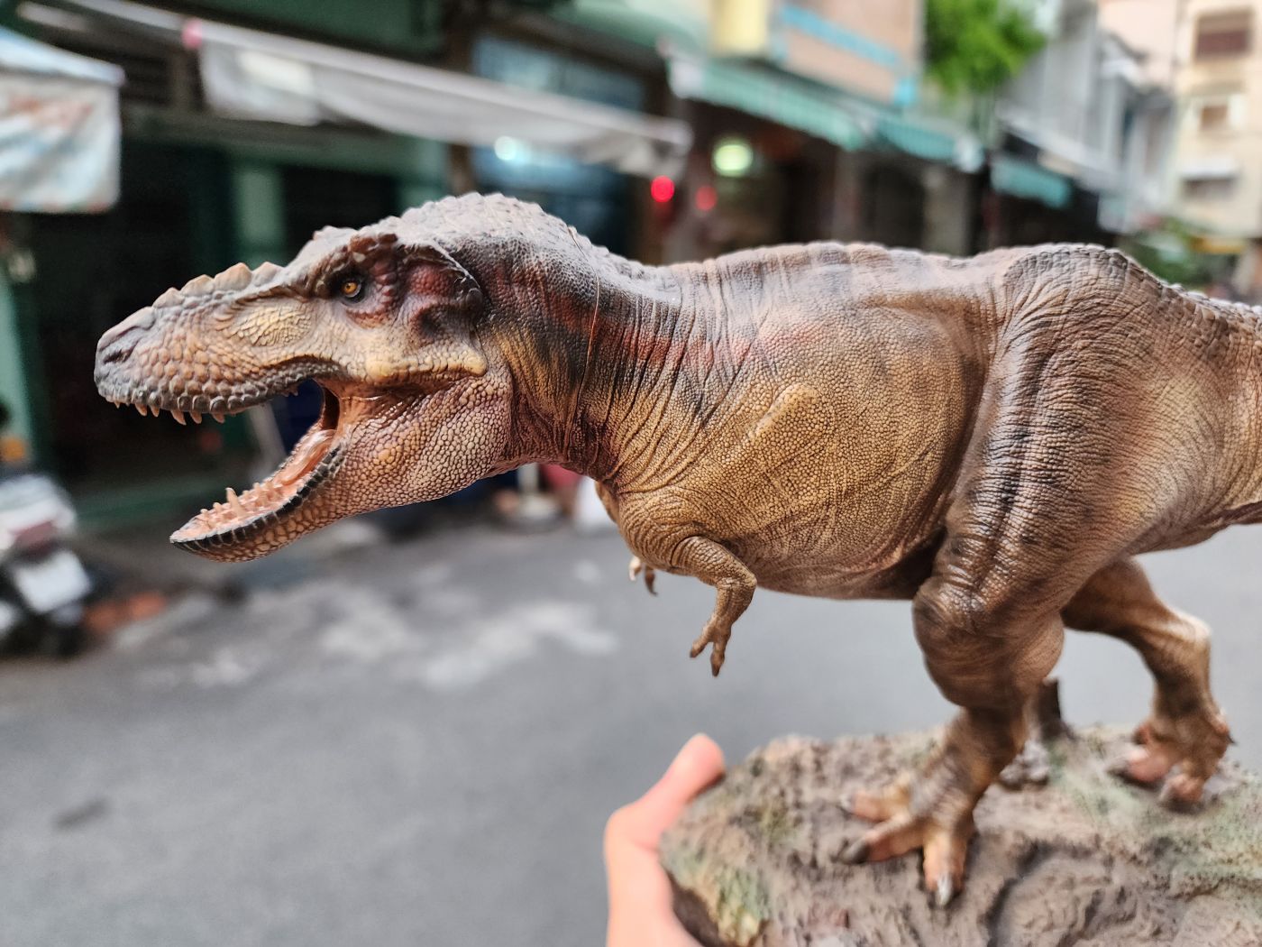 Mô hình khủng long T-Rex W-Dragon Tyrannosaurus Rex tỉ lệ 1/35