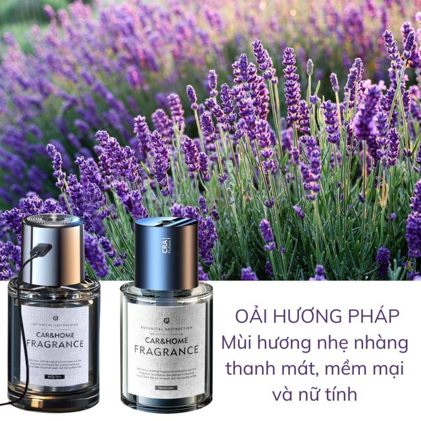 [Chỉ tinh dầu] Tinh Dầu Khử Mùi Hôi Xe Hơi