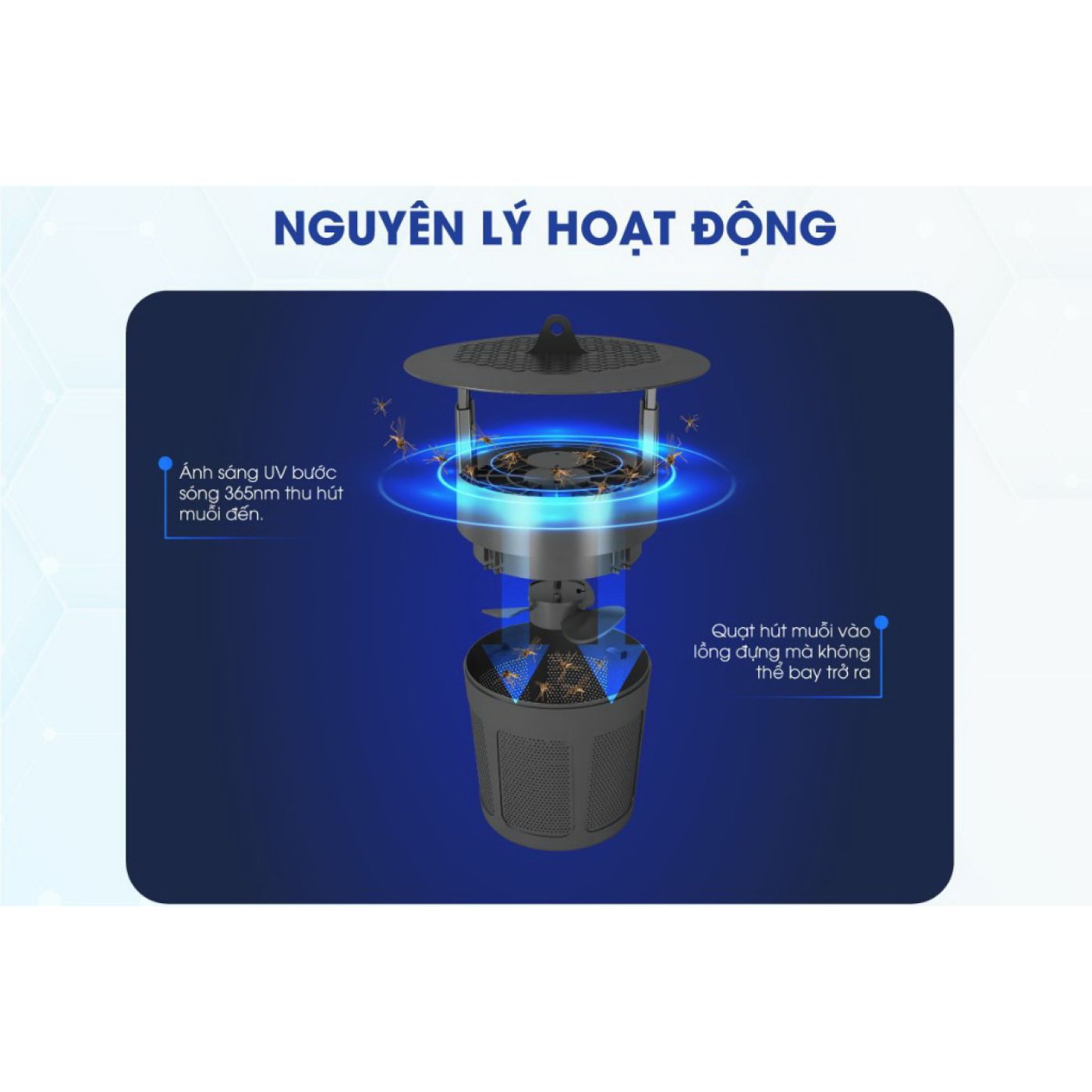 Đèn Bắt Muỗi Rạng Đông - Chính Hãng. Đèn LED 5W Đèn LED UV bước sóng 365nm