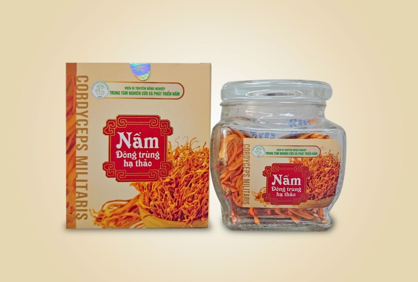 Nấm Đông trùng hạ thảo khô sấy thăng hoa 10gr loại 1 - Viện DTNN