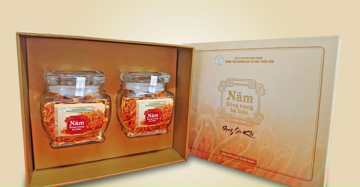 Nấm Đông trùng hạ thảo khô sấy thăng hoa 10gr loại 1 - Viện DTNN