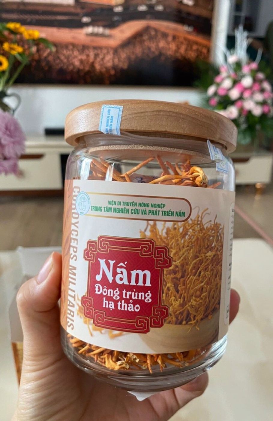 Nấm Đông trùng hạ thảo khô sấy thăng hoa 20g loại 1 - Viện DTNN