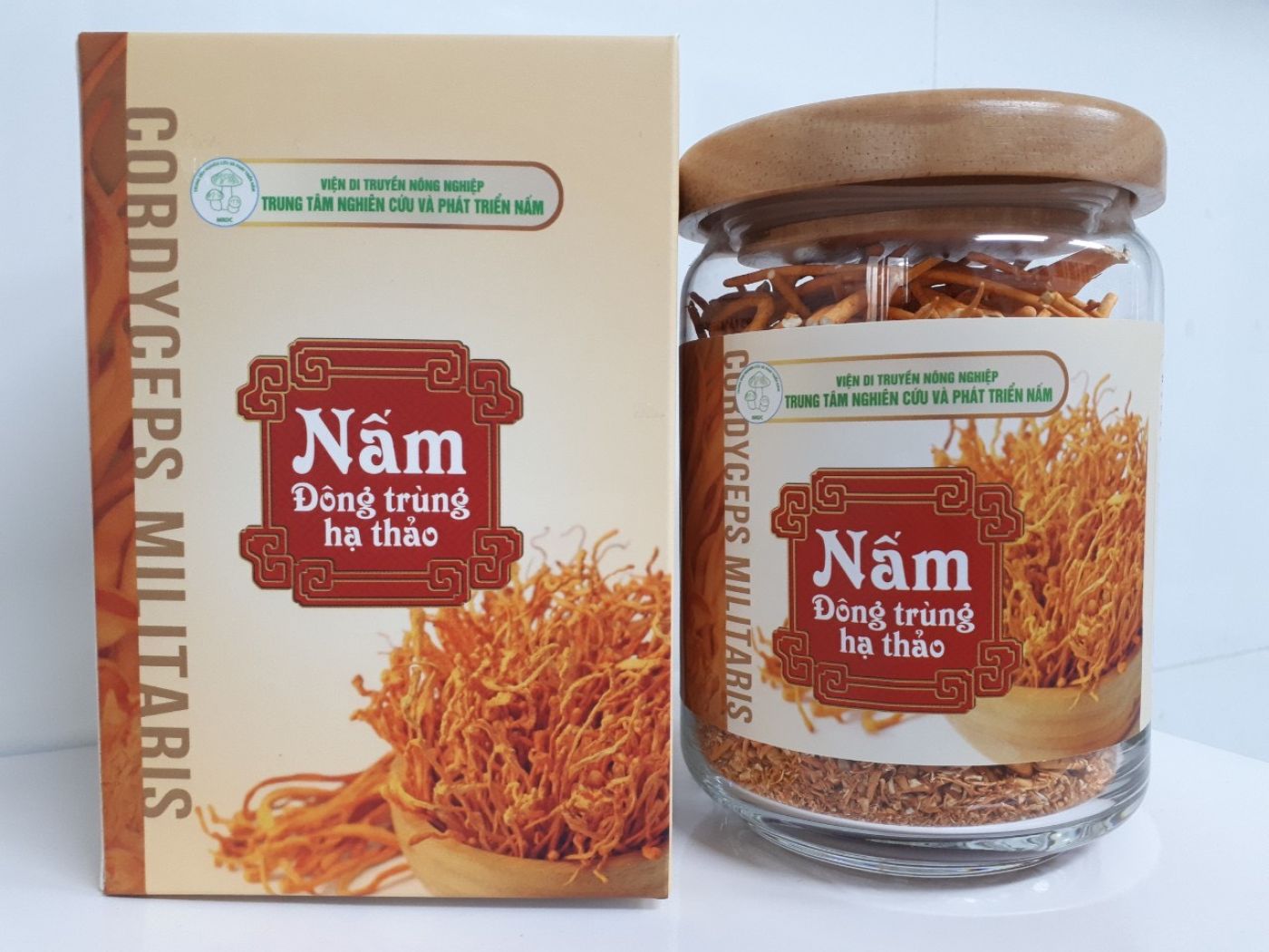 Nấm Đông trùng hạ thảo khô sấy thăng hoa 20g loại 1 - Viện DTNN