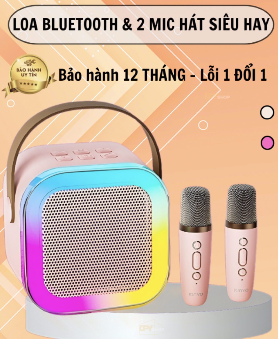 Loa Bluetooth không dây kèm 2 mic